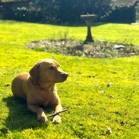 3 Bed In Hawkshead Oc-llh24