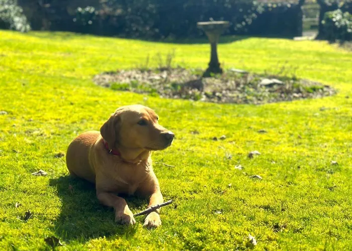 3 Bed In Hawkshead Oc-llh24