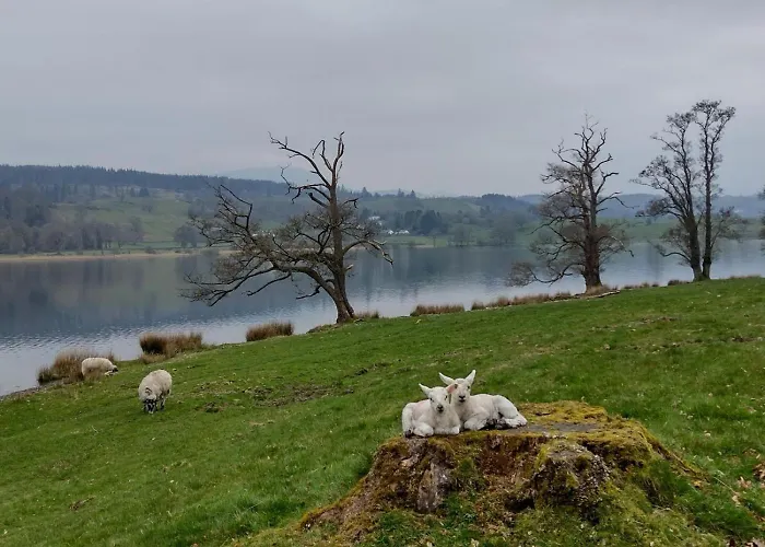 3 Bed In Hawkshead Oc-llh24 度假居 Near Sawrey